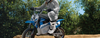 MX350