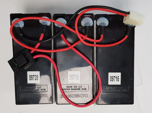 Razor EcoSmart 36V battery - W13114501003